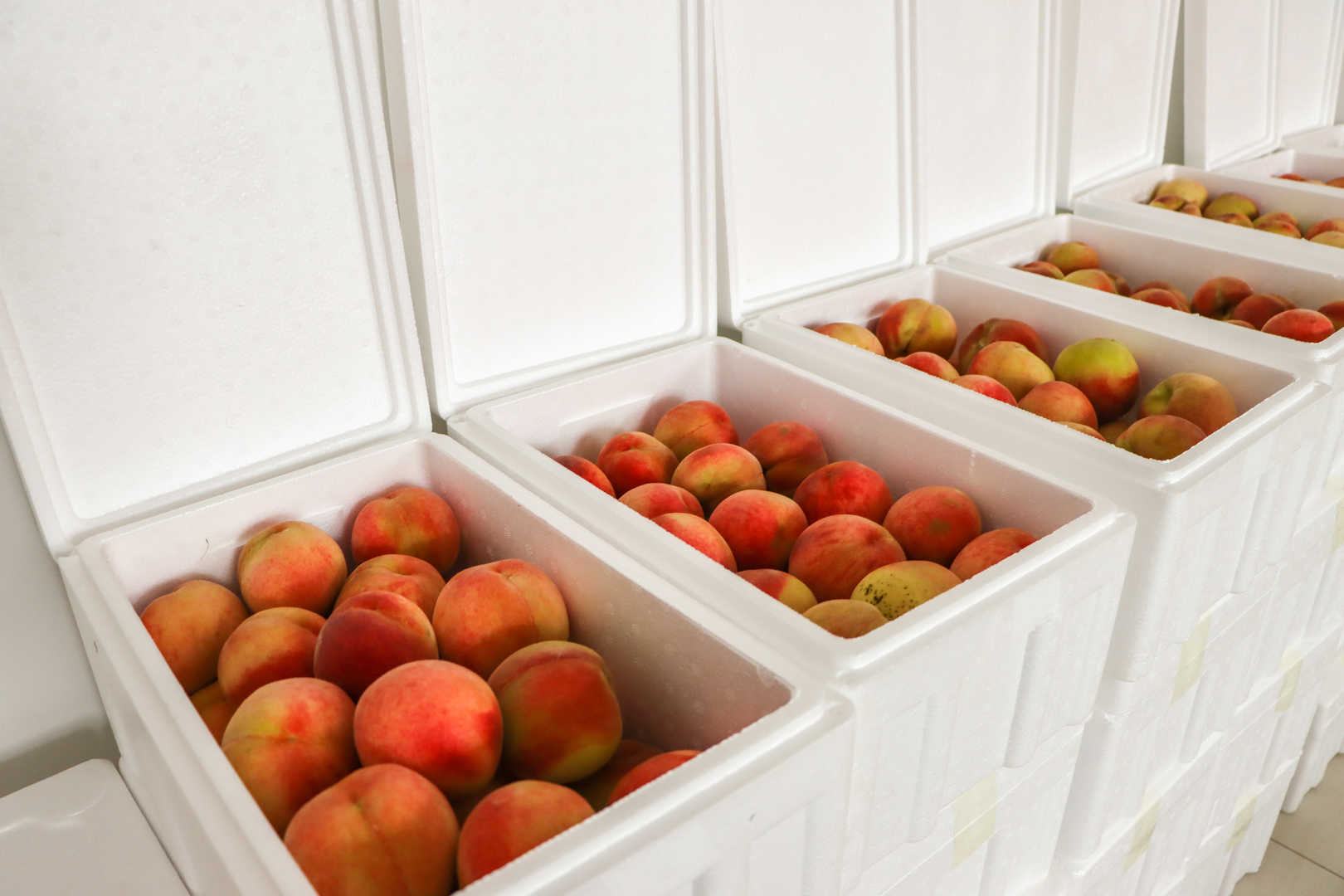 【甜蜜關(guān)懷】濱澳桃香漫工位，助農(nóng)暖心兩相宜！